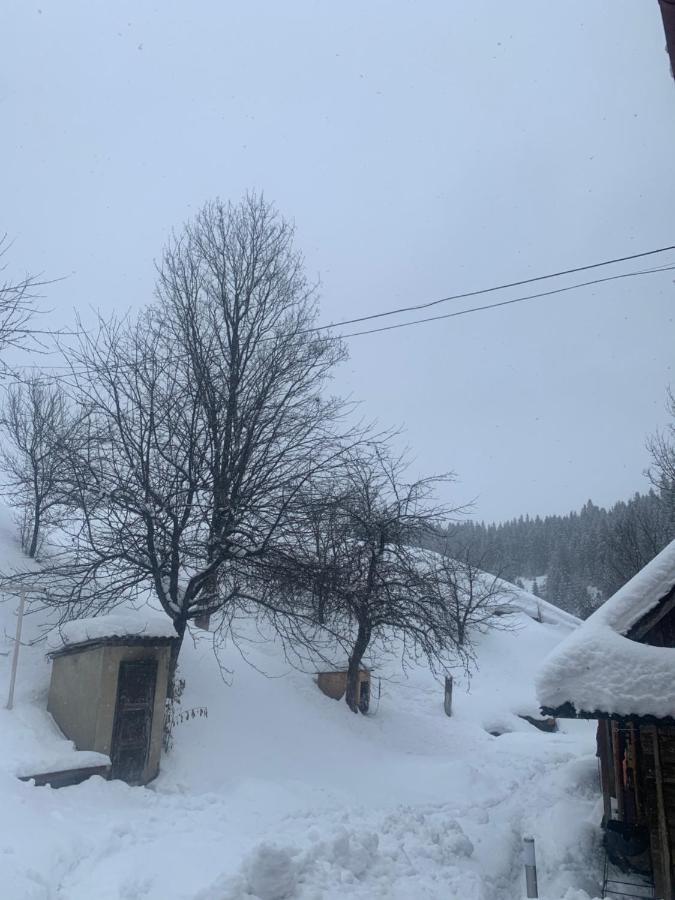 Cottage house Podobovets Eksteriør bilde